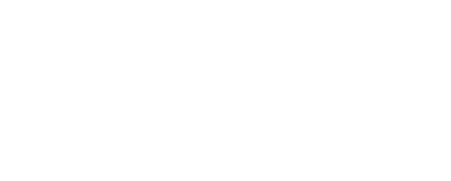 coyni logo wte